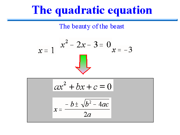 Slide 5